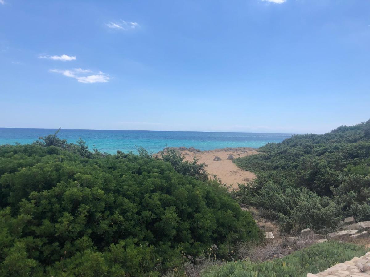 הוילה סן פייטרו אין בוואניה Il Marchese In Piscina מראה חיצוני תמונה