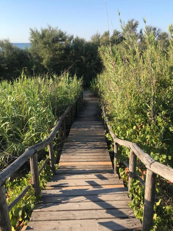 הוילה סן פייטרו אין בוואניה Il Marchese In Piscina מראה חיצוני תמונה