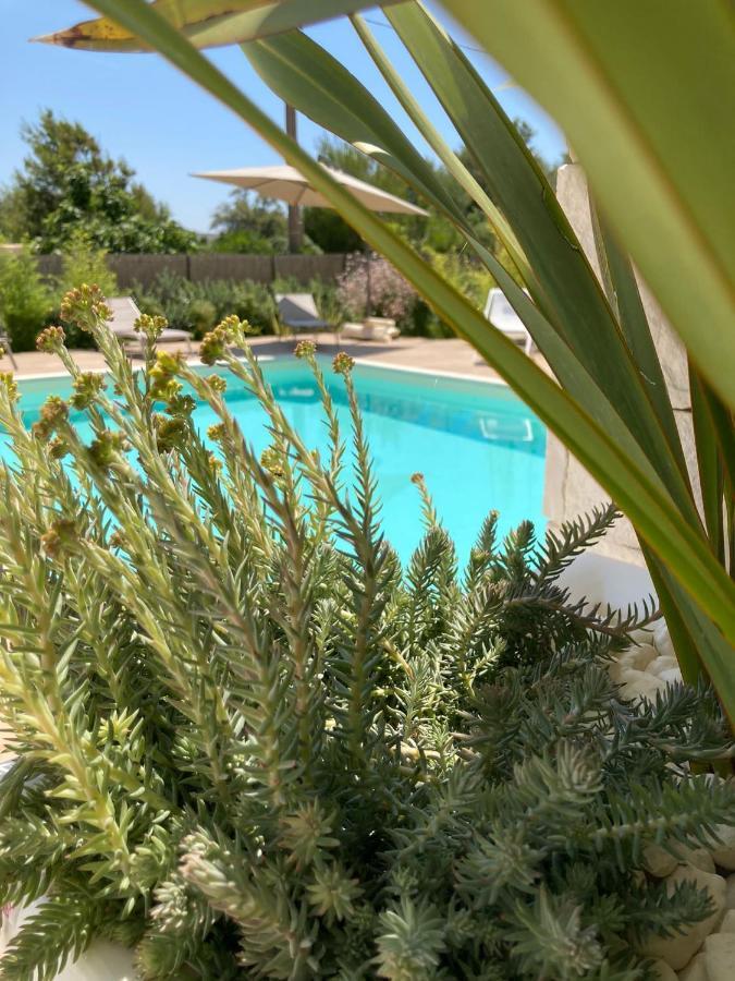 הוילה סן פייטרו אין בוואניה Il Marchese In Piscina מראה חיצוני תמונה